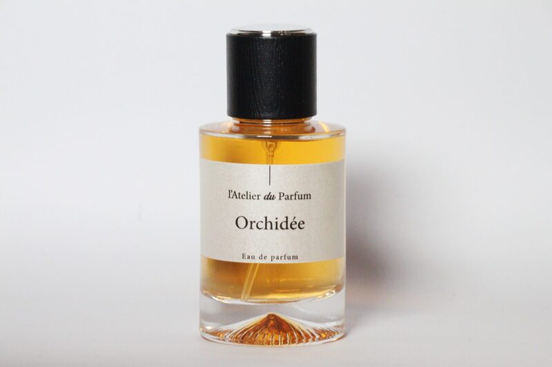 Orchidee-scaled